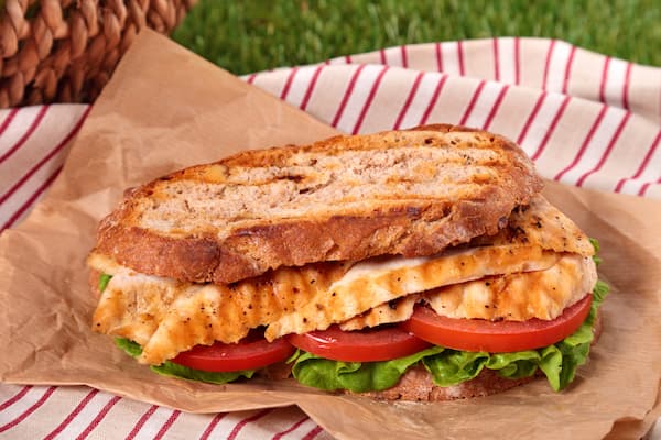 Pan seared chicken sandwich on multigrain bread